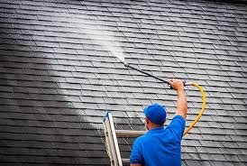 Expert Roof Cleaning Service for Long Lasting Care
